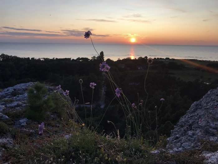 Utsikt från berget