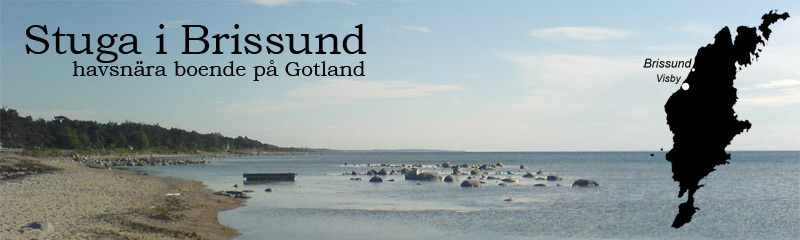 Vy från stranden och logotyp